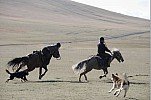 2010 KYRGYZSTAN