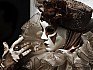 Carnival of Venice 2011