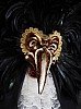 Carnival of Venice 2011