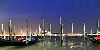 Carnival of Venice 2011
