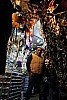 Carnival of Venice 2011