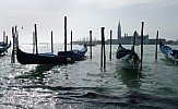 Carnival of Venice 2011