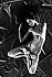 2019 IPS - NUDE PHOTOGRAPHY 